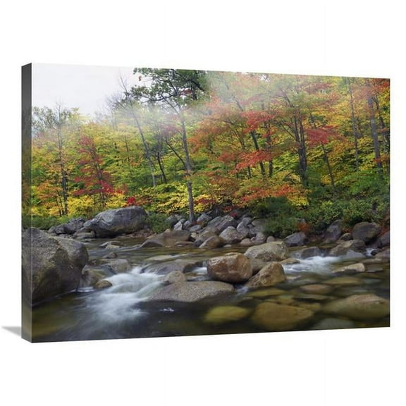 24 x 32 in. Swift River Flowing Through Fall Colored Forest, White Mountains National Forest, New Hampshire Art Print - Tim Fitzharris