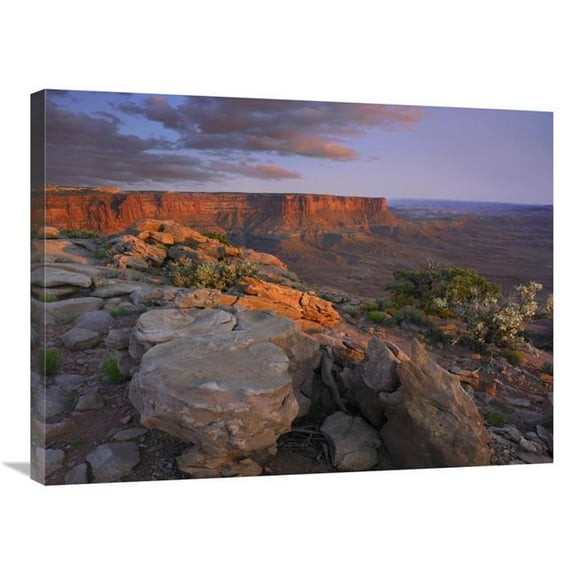 24 x 32 in. View From the Green River Overlook, Canyonlands National Park, Utah Art Print - Tim Fitzharris