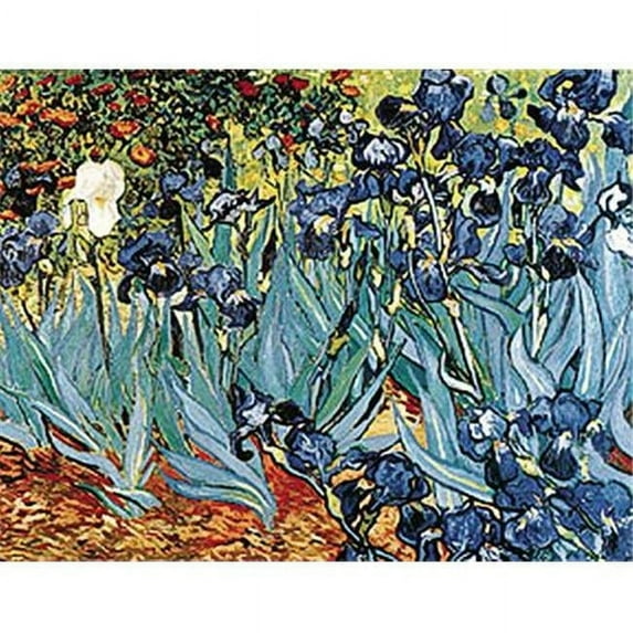24'' x 36'' Irises Poster