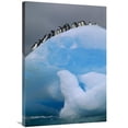 thumbnail image 1 of 24 x 36 in. Adelie Penguin Group Resting on Blue, Antarctica Art Print - Tui De Roy, 1 of 1