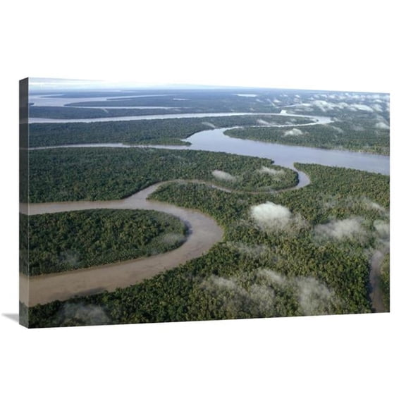 24 x 36 in. Aerial of Tropical Rainforest & Winding Rivers, Kikori Delta, Papua New Guinea Art Print - Gerry Ellis