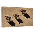 thumbnail image 1 of 24 x 36 in. African Elephant Trio Aerial with Shadows, Africa Art Print - Tim Fitzharris, 1 of 1