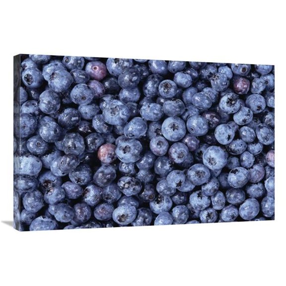 24 x 36 in. Bilberry Group, North America Art Print - Gerry Ellis