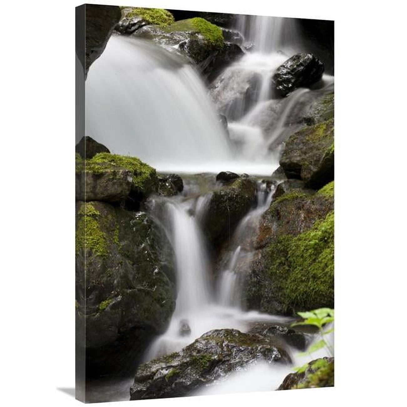 24 x 36 in. Cascading Creek in Temperate Rainforest Interior, Sitka