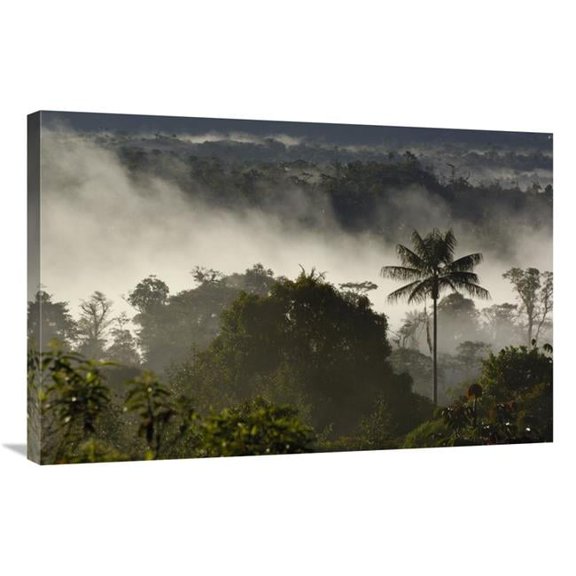 24 x 36 in. Cloud Forest Vegetation in Mist, Western Slope of the Andes Mountains, San Isidro Cloud Forest, Ecuador Art Print - Pete Oxford