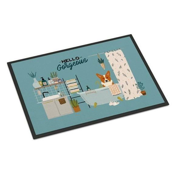 24 x 36 in. Corgi in Bathtub Indoor or Outdoor Mat