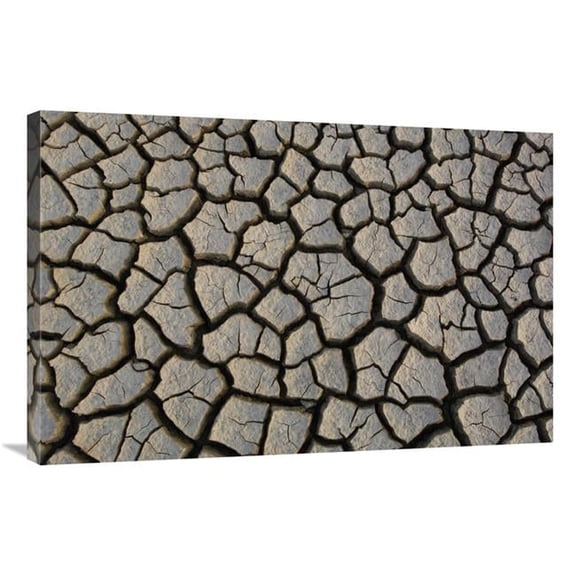 24 x 36 in. Cracked Mud on the Salt Flats of the Little Rann of Kutch, Gujarat, India Art Print - Pete Oxford