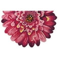 thumbnail image 1 of 24 x 36 in. Dahlia Slice Rug, 1 of 1