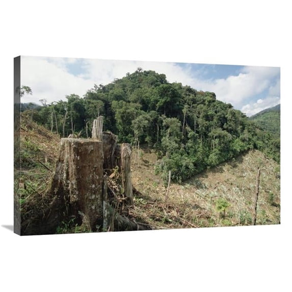 24 x 36 in. Deforested Hillside of Wet Montane Rainforest Near Los Cedros Biological Reserve, Choco Phytogeographic Region, Northwest Ecuador Art Print - Gerry Ellis