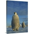 thumbnail image 1 of 24 x 36 in. Emperor Penguin Chick on Fast Ice in Midnight, Weddell Sea, Antarctica Art Print - Tui De Roy, 1 of 1