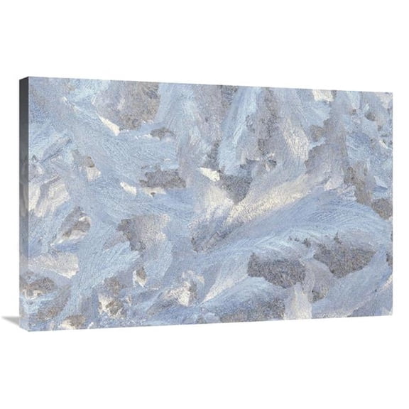 24 x 36 in. Frost Crystal Formation on Window, North America Art Print - Gerry Ellis