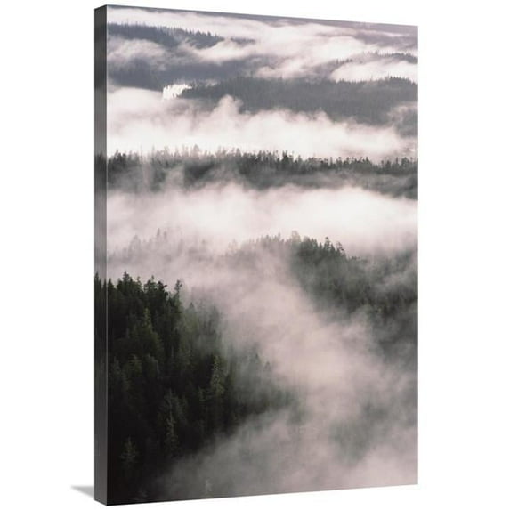 24 x 36 in. Gokachin Lakes, Misty Fjords National Monument Wilderness, Alaska Art Print - Gerry Ellis