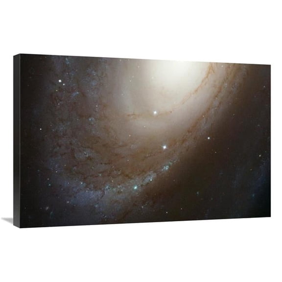 24 x 36 in. HST ACS Image of M81 Art Print - NASA