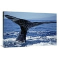 thumbnail image 1 of 24 x 36 in. Humpback Whale Whale Tail, Maui, Hawaii Art Print - Flip Nicklin, 1 of 1