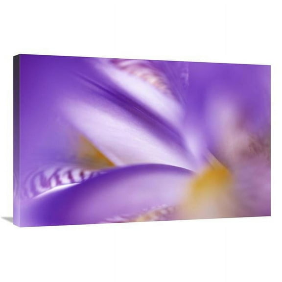 24 x 36 in. Iris Abstract Close Up Art Print - Jan Vermeer