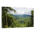 thumbnail image 1 of 24 x 36 in. Mountain Rainforest, Braulio Carrillo National Park, Costa Rica Art Print - Konrad Wothe, 1 of 1