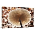 thumbnail image 1 of 24 x 36 in. Porcelain Mushroom or Poached Egg Fungus Detail of Gills on the Underside, Europe Art Print - Jan Vermeer, 1 of 1