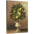 thumbnail image 1 of 24 x 36 in. Potted Lemon Tree Art Print - Welby, 1 of 1