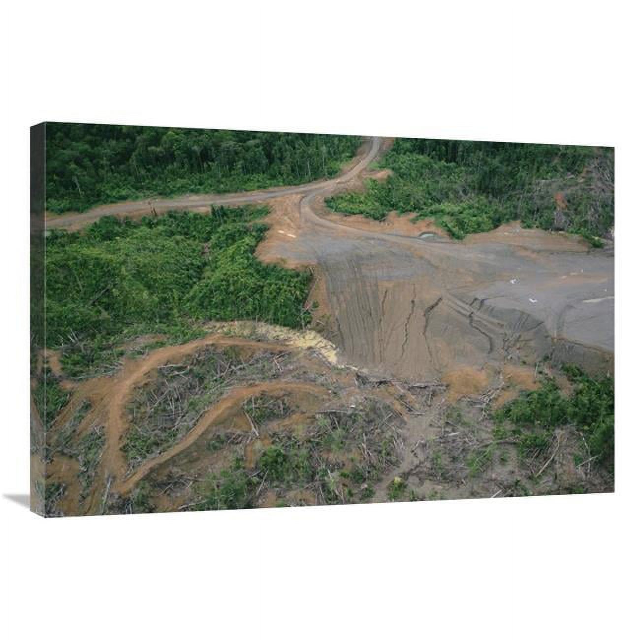 Logging In Png 24 x 36 in. Rainforest Logging Activities Near Eastern Boundary of the ...