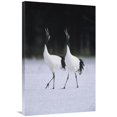 thumbnail image 1 of 24 x 36 in. Red-Crowned Crane Pair Calling During Courtship Dance At Their Wintering Grounds, Hokkaido, Japan Art Print - Konrad Wothe, 1 of 1