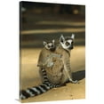 thumbnail image 1 of 24 x 36 in. Ring-Tailed Lemur Baby on Mothers Back, Madagascar Art Print - Konrad Wothe, 1 of 1