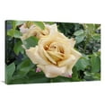 thumbnail image 1 of 24 x 36 in. Rose Honey Dijon Variety Flowers Art Print - Visionspictures, 1 of 1