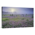 thumbnail image 1 of 24 x 36 in. Sand Verbena Flower Field at Sunrise in Fog, Hill Country, Texas Art Print - Tim Fitzharris, 1 of 1