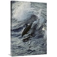 thumbnail image 1 of 24 x 36 in. Spinner Dolphin Jumping, Between Panama & Cocos Island, Tropical Eastern Pacific Ocean Art Print - Tui De Roy, 1 of 1