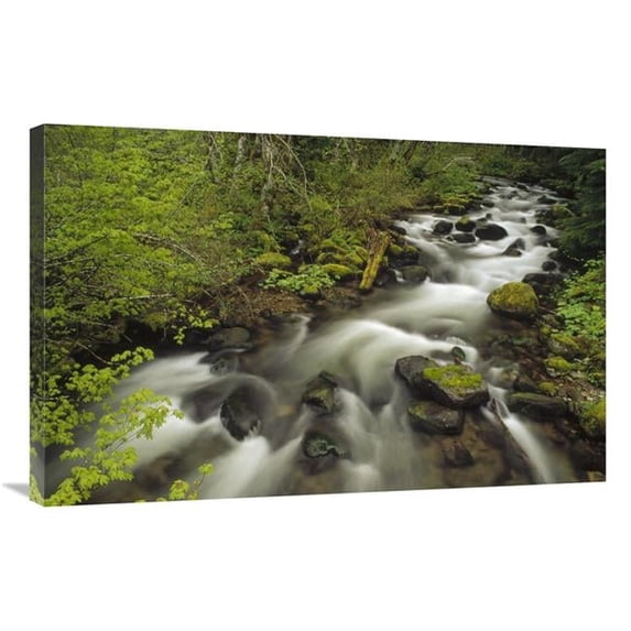 24 x 36 in. Still Creek in Spring, Mt Hood National Forest, Oregon Art Print - Gerry Ellis