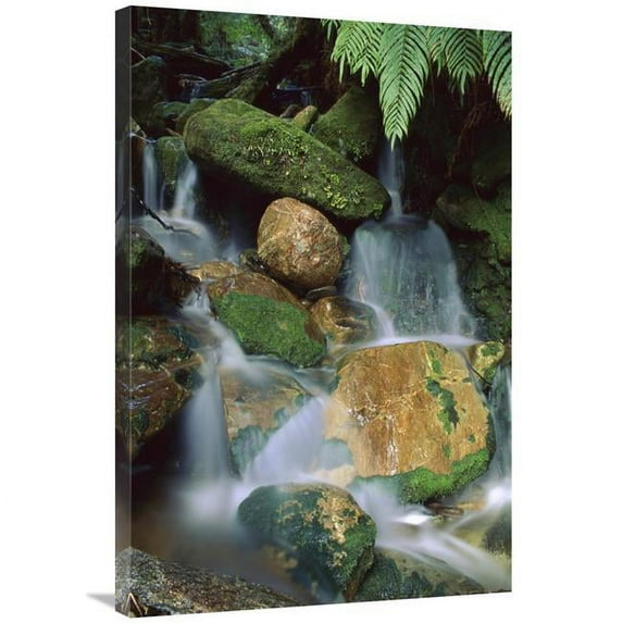 24 x 36 in. Stream Waterfall Near Lake Mapourika, New Zealand Art Print - Shaun Barnett