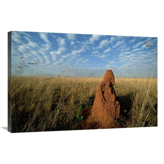 24 x 36 in. Termite Mound in Open Cerrado Grassland, Emas National Park, Brazil Art Print - Tui De Roy