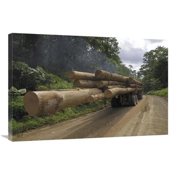 24 x 36 in. Truck with Timber From A Logging Area, Danum Valley Conservation Area, Borneo, Malaysia Art Print - Thomas Marent
