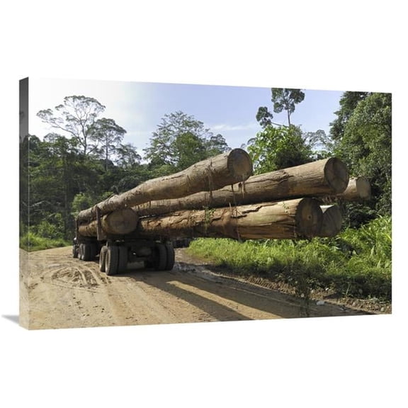 24 x 36 in. Truck with Timber From A Logging Area, Danum Valley Conservation Area, Borneo, Malaysia Art Print - Thomas Marent