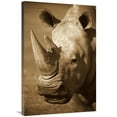 thumbnail image 1 of 24 x 36 in. White Rhinoceros Portrait, Native to Africa - Sepia Art Print - San Diego Zoo, 1 of 1