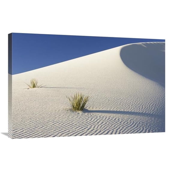 24 x 36 in. Yuccas in Gypsum Sand Dunes, White Sands National Monument, New Mexico Art Print - Konrad Wothe