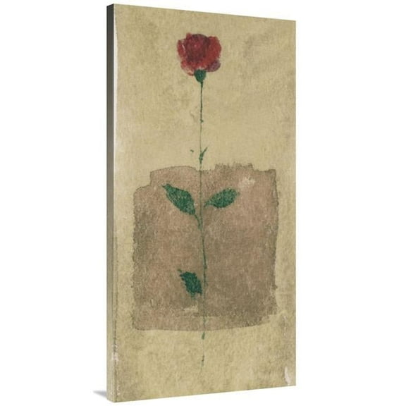 24 x 48 in. American Beauty Art Print - Anonymous