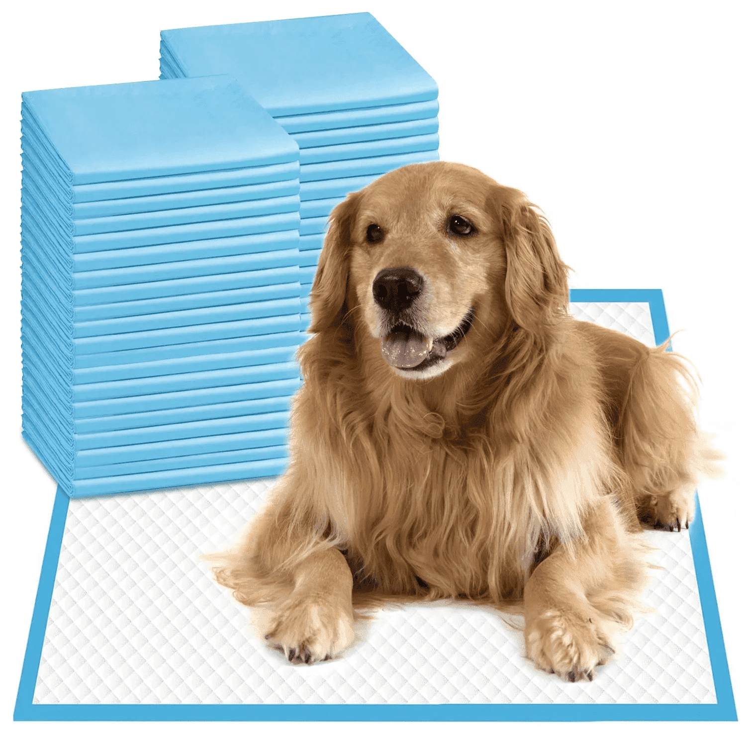24"x24" Puppy Pads, 40 Count Disposable Pee Pads for Dogs and Puppy, Cats, Rabbits