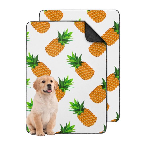 24"x35" Colorful Fruit Themed Washable Reusable Pads, Non-Slip Puppy Training Pads for Crate Lining and Floor Protection