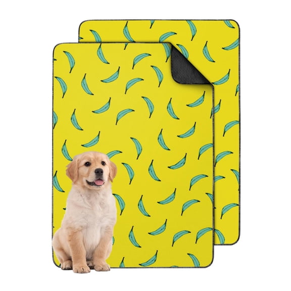 24"x35" Extra Large Colorful Fruits Washable Pee Pads, Reusable Puppy Training Pads with Durable Non-Slip Bottom Layer