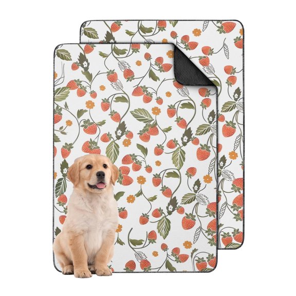 24"x35" Extra Large Fruit Design Washable Dog Pee Pads, Reusable Puppy Pads with Non-Slip Backing and Absorbent Core