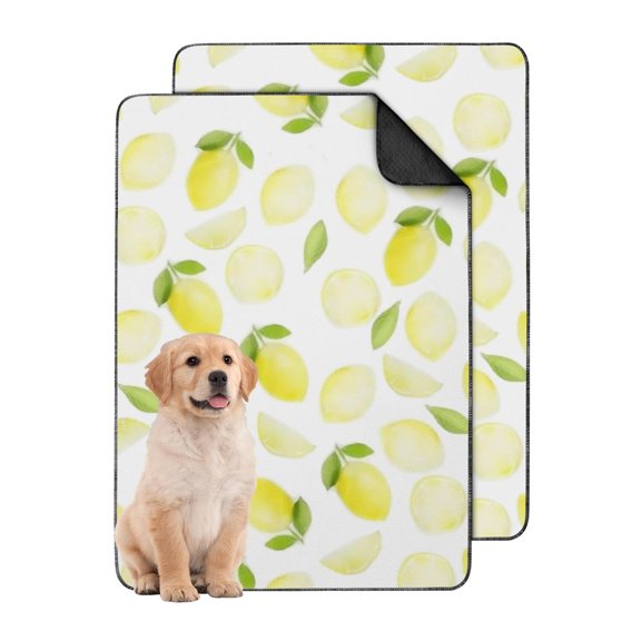 24"x35" Extra Large Washable Pee Pads for Dogs, Fruit Patterns Design Reusable Puppy Pad with Leak-Resistant Barrier and Non-Slip Bottom