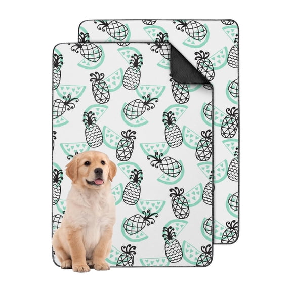 Curated visual reference: Fresh Look at 24 X35 Washable Dog Pee Pads Fruit Print Style Reusable