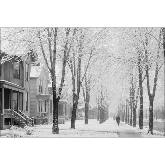 24"x36" Gallery Poster, A winter morning 4a18215a original