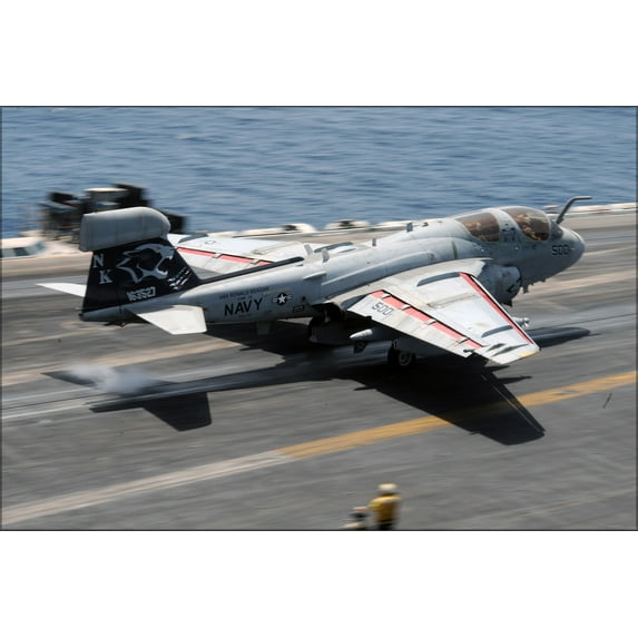 24"x36" Gallery Poster, EA-6B Prowler Cougars (VAQ) 139 USS Ronald Reagan (CVN 76)