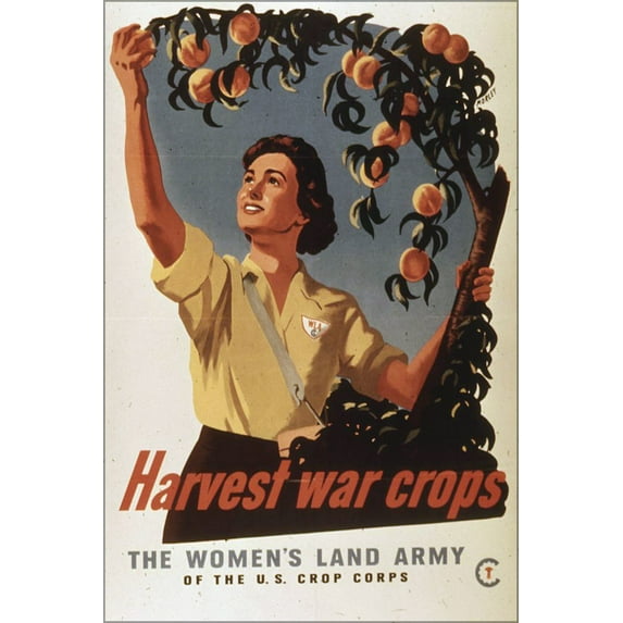24"x36" Gallery Poster, Harvest War Crops, Women's Land Army propaganda 1941-1945