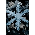 thumbnail image 1 of 24"x36" Gallery Poster, Ordinary hexagonal dendrite snowflake, highly magnified by a low-temperature scanning electron microscope. 2, 1 of 1