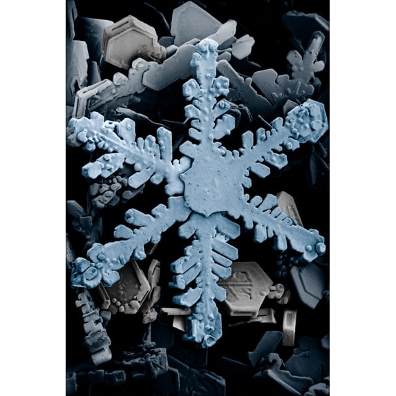 24"x36" Gallery Poster, Ordinary hexagonal dendrite snowflake, highly magnified by a low-temperature scanning electron microscope. 2