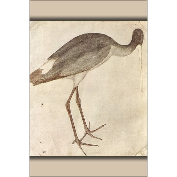 24"x36" Gallery Poster, Storch by Pisanello 1440