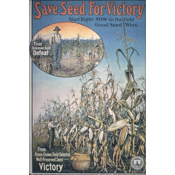 24"x36" Gallery Poster, U.S. Food Administration. Save seed for victory propaganda 1917