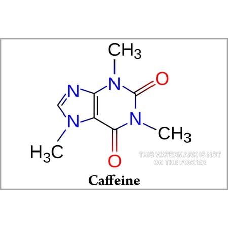 24"x36" Gallery Poster, caffeine molecule diagram